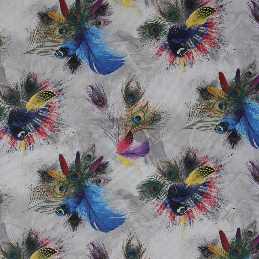 Tela plumas_3622.jpg