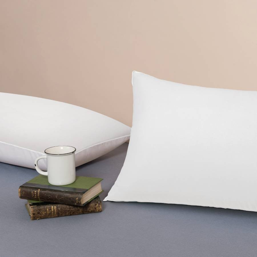 Almohada Aloe Vera_15639.jpg
