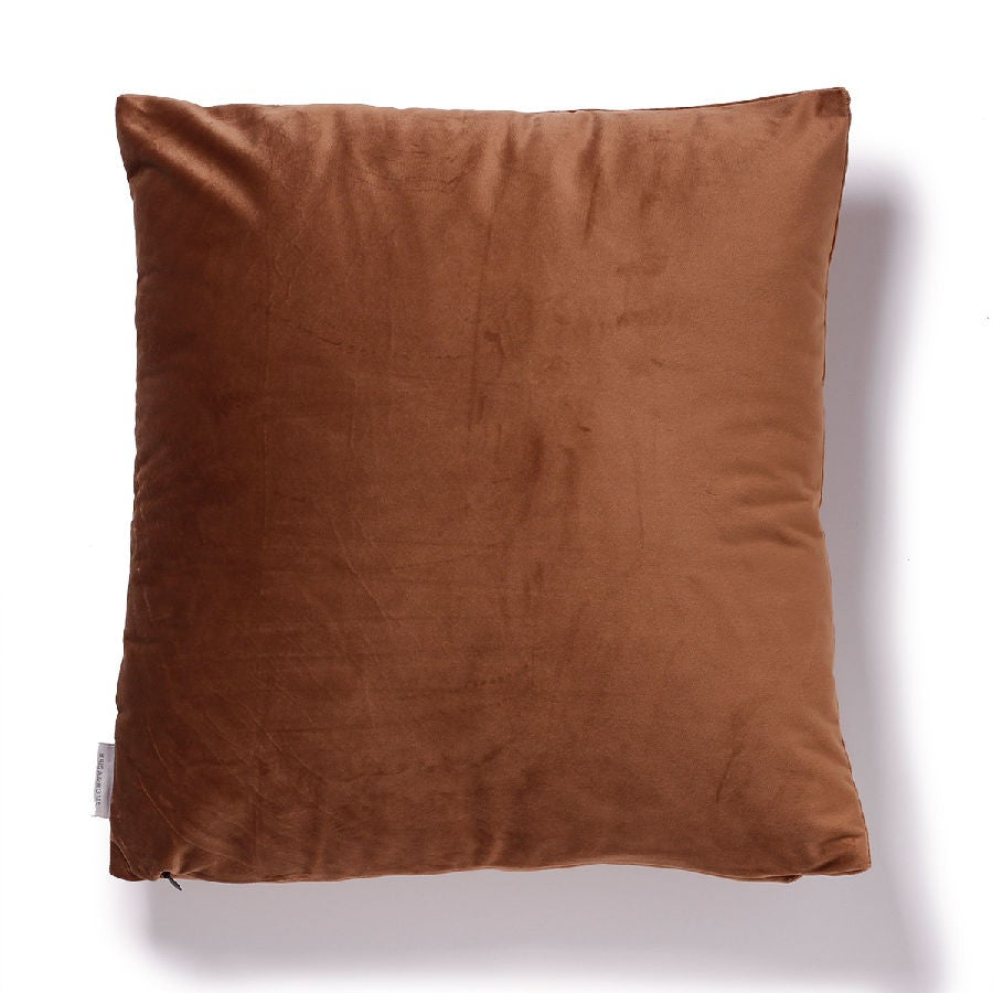 Cojines de  terciopelo_15145.jpg