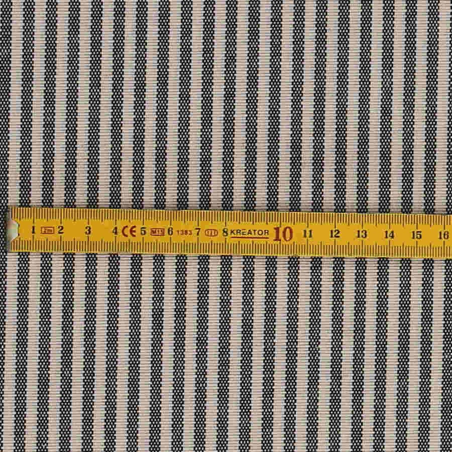 Loneta de rayas_4990.jpg