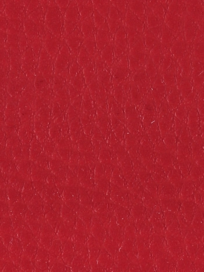 Polipiel lisa_15639.jpg