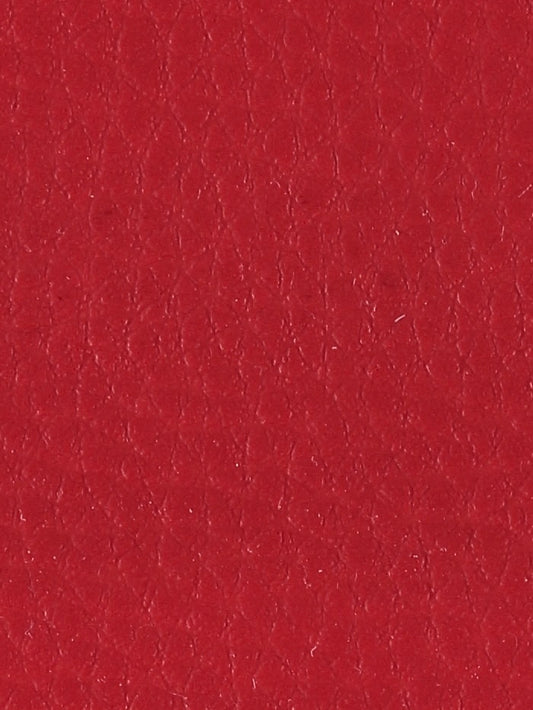Polipiel lisa_15639.jpg