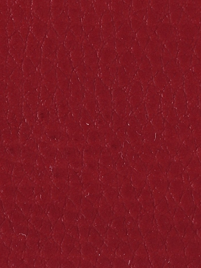 Polipiel lisa_15640.jpg