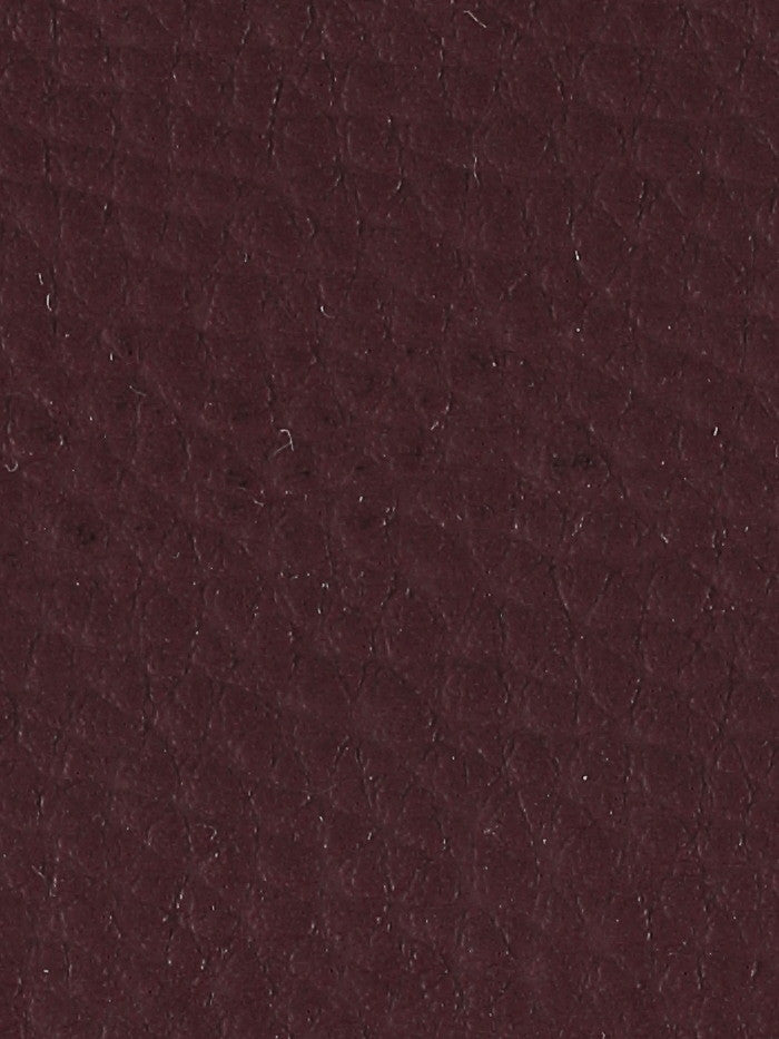 Polipiel lisa_15641.jpg