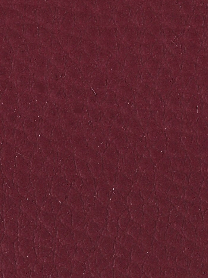 Polipiel lisa_15642.jpg