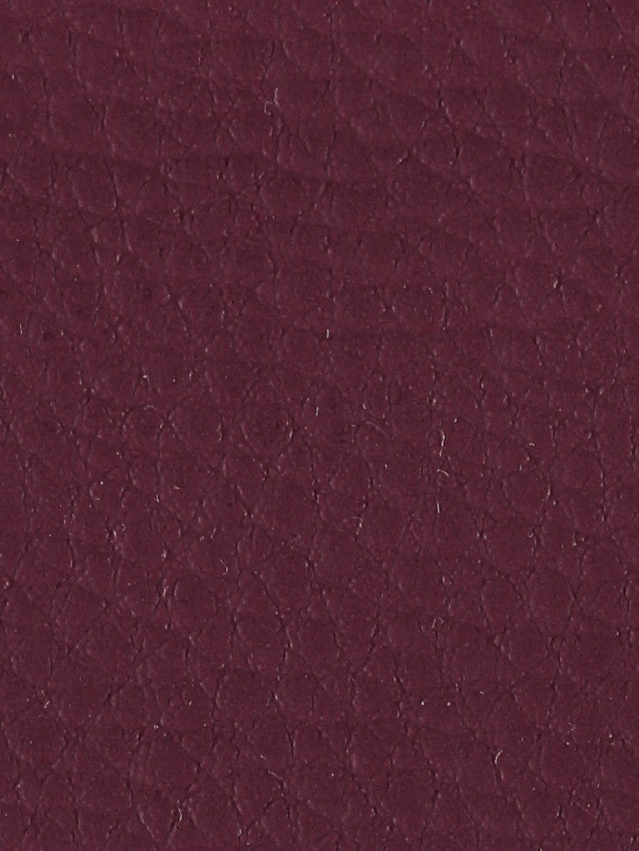 Polipiel lisa_15644.jpg