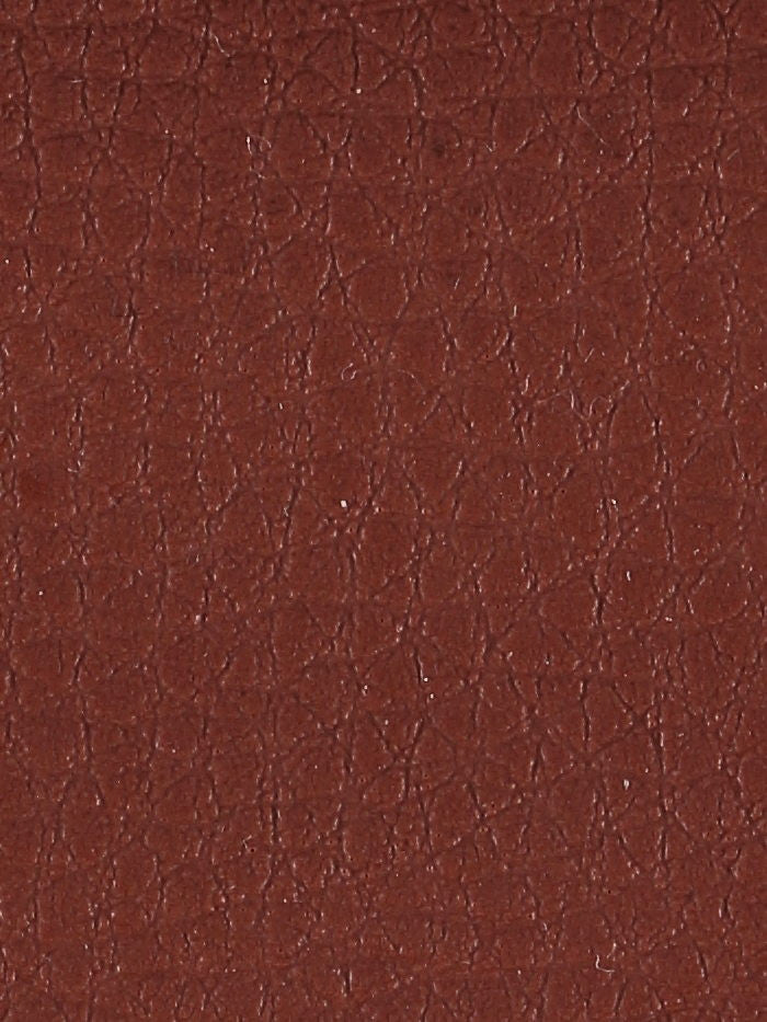 Polipiel lisa_15648.jpg