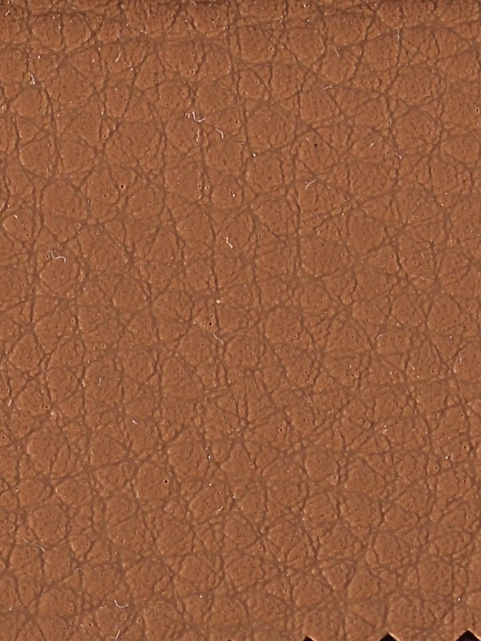 Polipiel lisa_15651.jpg