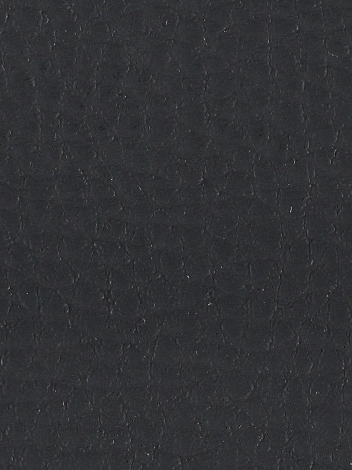 Polipiel lisa_4593.jpg