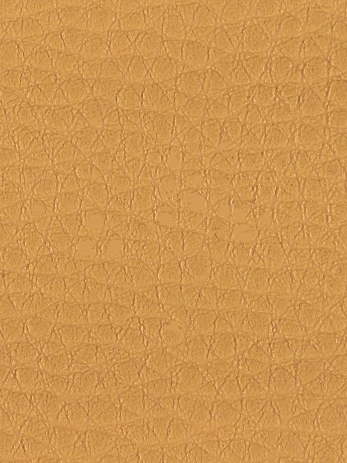 Polipiel lisa_4594.jpg
