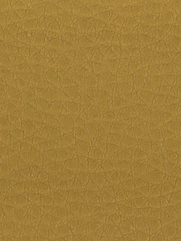 Polipiel lisa_4595.jpg