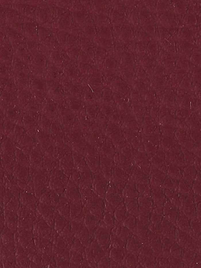 Polipiel lisa_4596.jpg