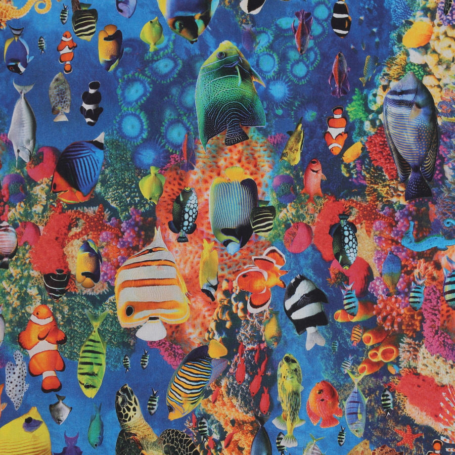 Tapicería peces tropicales_23862.jpg