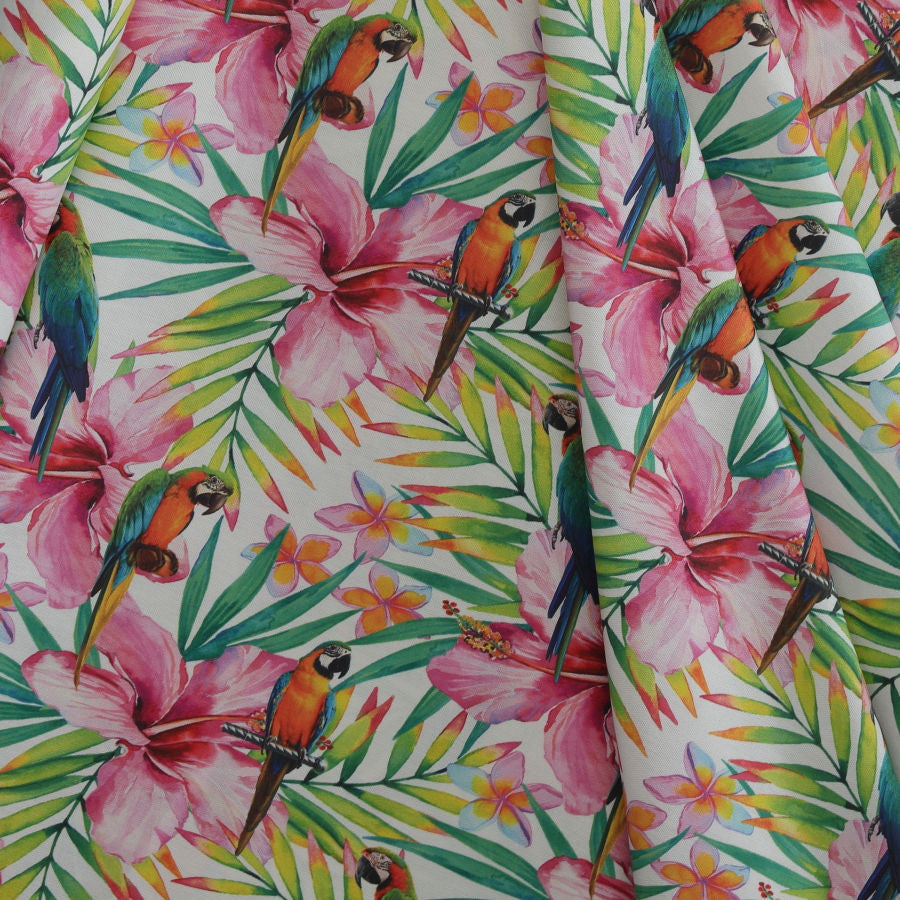 Tapicería tropical_23682.jpg