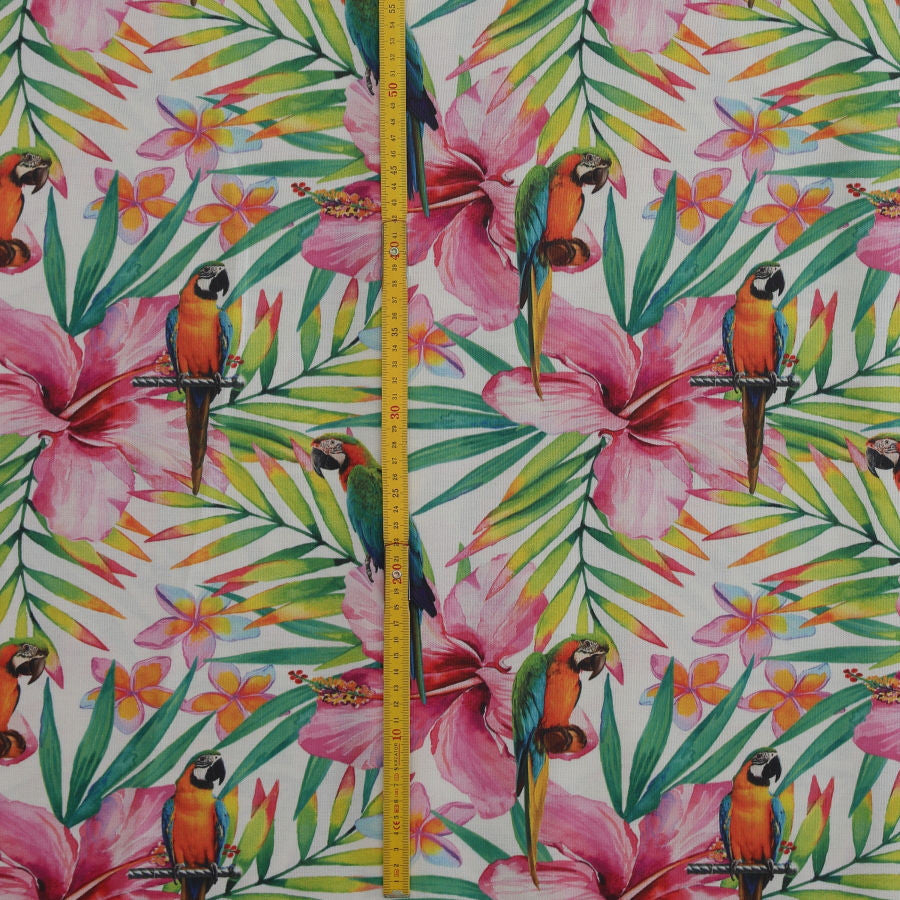 Tapicería tropical_23683.jpg