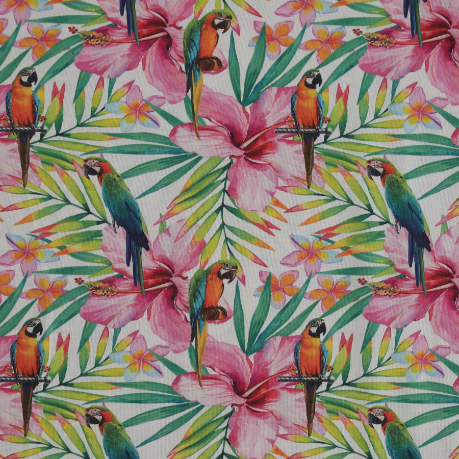 Tapicería tropical_23686.jpg