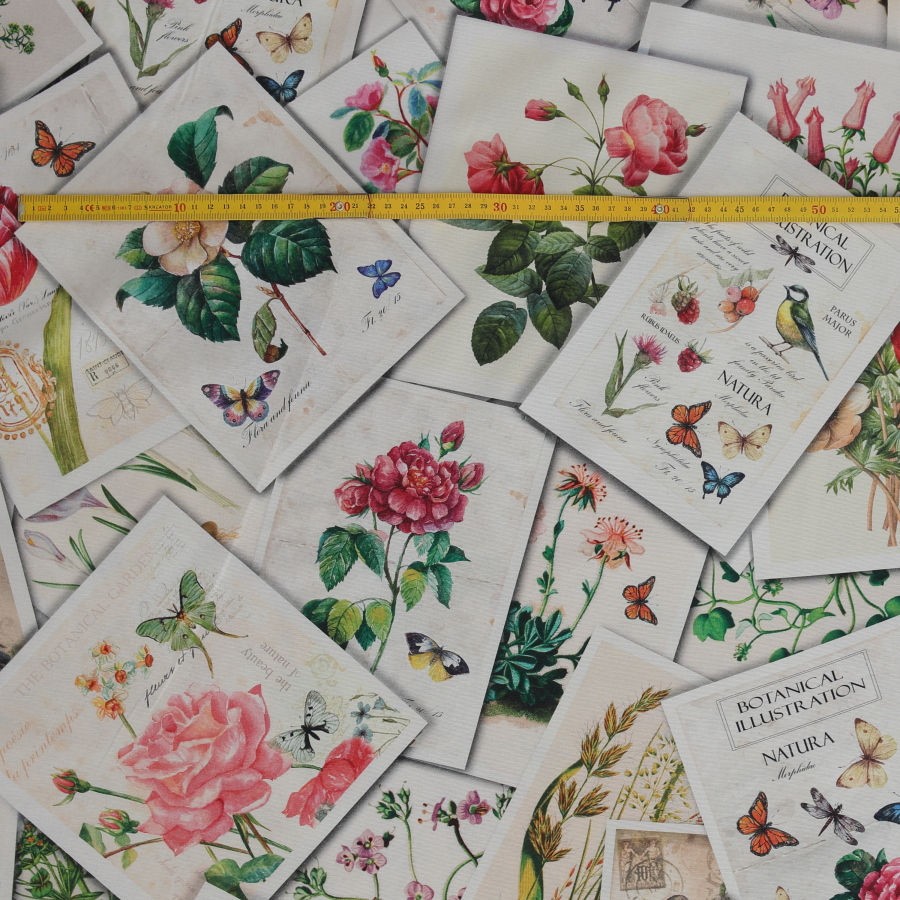 Tela botánico_3634.jpg