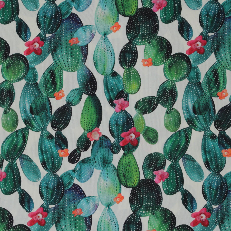 Tela exterior cactus_23582.jpg