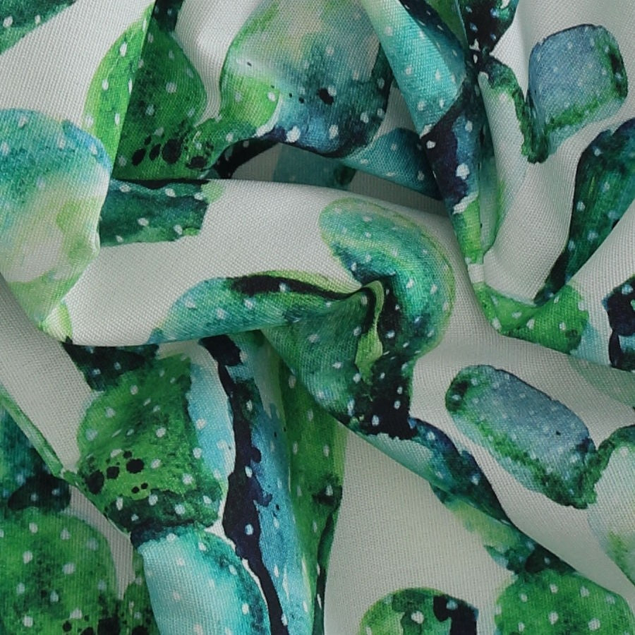 Tela exterior cactus_3732.jpg