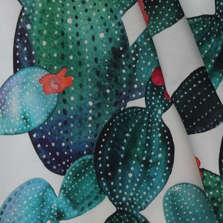 Tela exterior cactus_3768.jpg