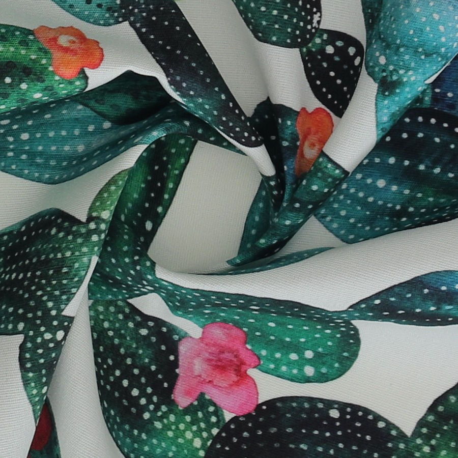 Tela exterior cactus_3769.jpg