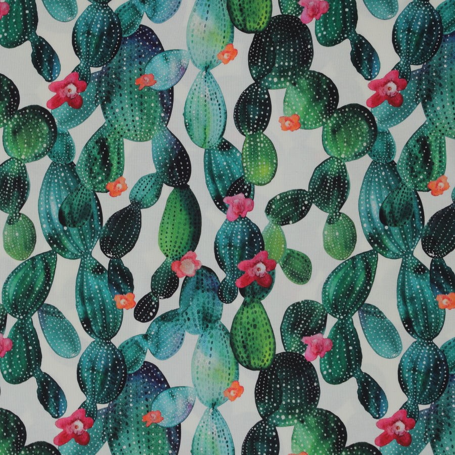 Tela exterior cactus_3770.jpg