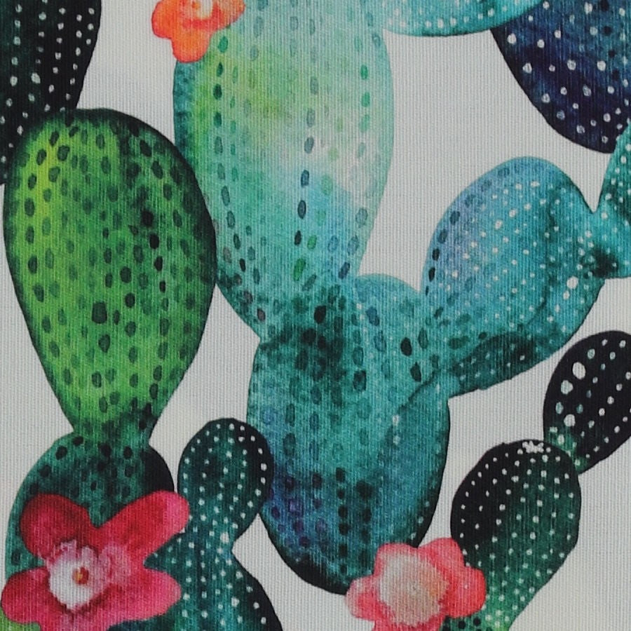 Tela exterior cactus_3771.jpg