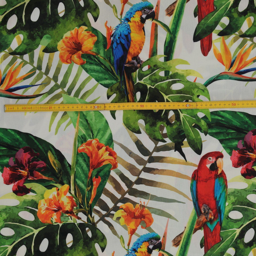 Tela exterior papagayos_23567.jpg