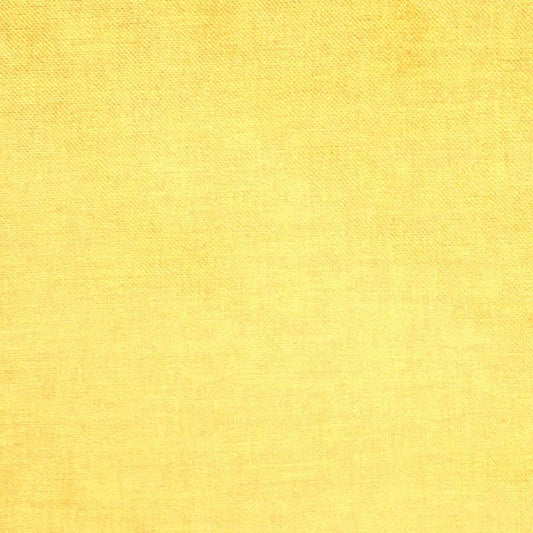 Tela lisa_8827.jpg