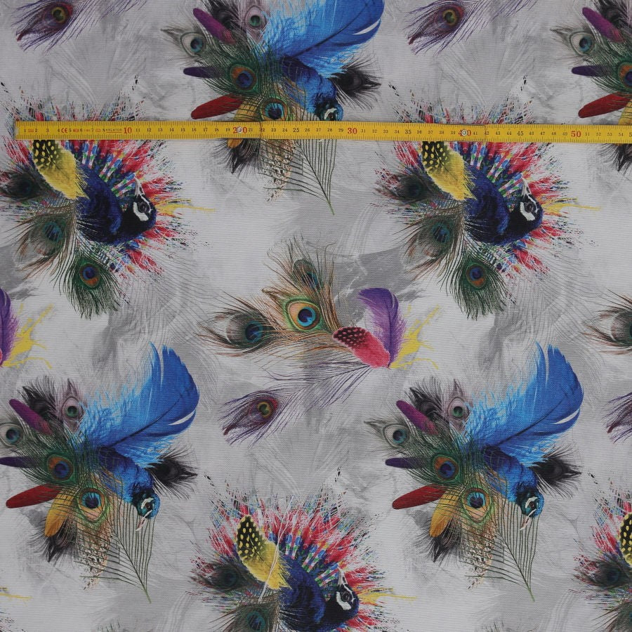 Tela plumas_3619.jpg