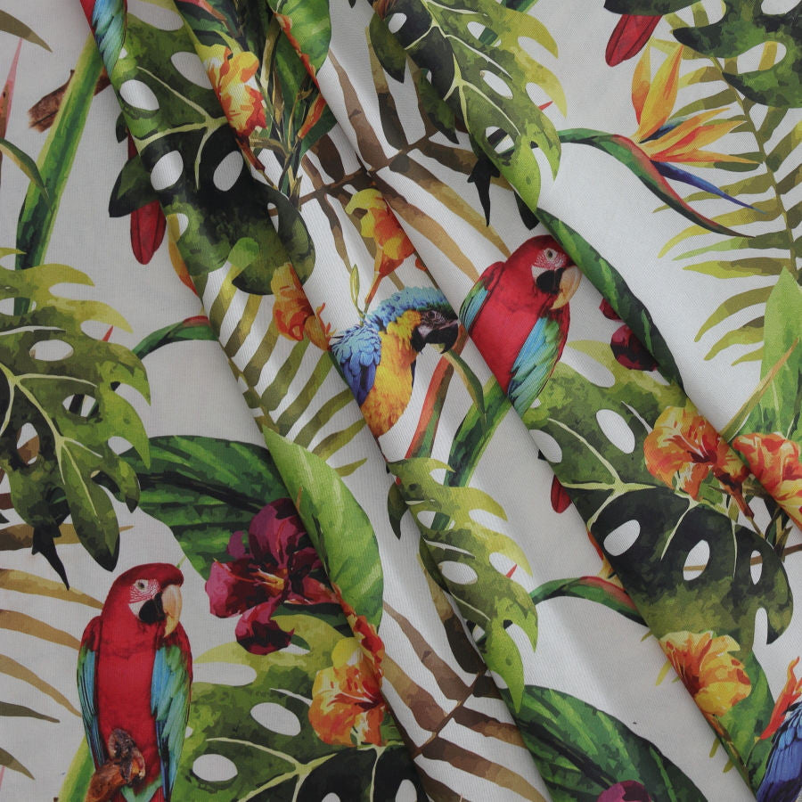 Tela tropical loros_23727.jpg