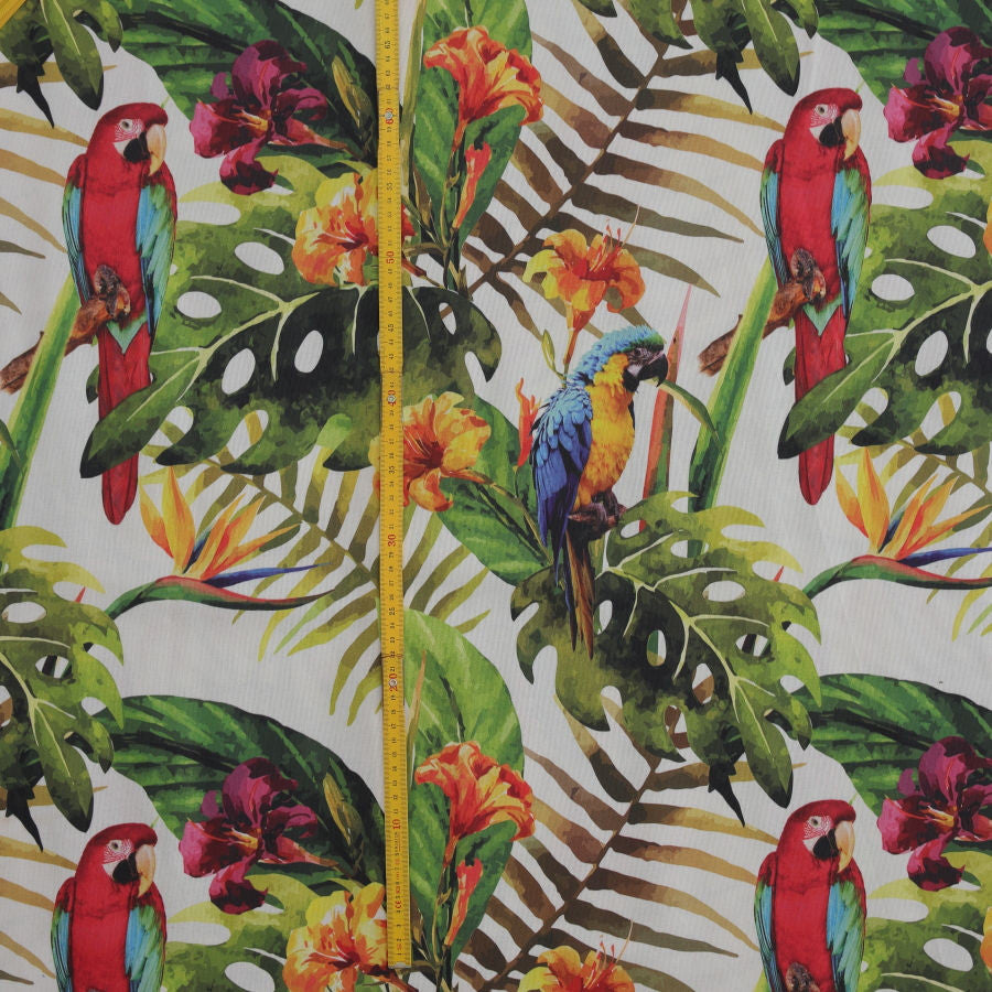 Tela tropical loros_23728.jpg