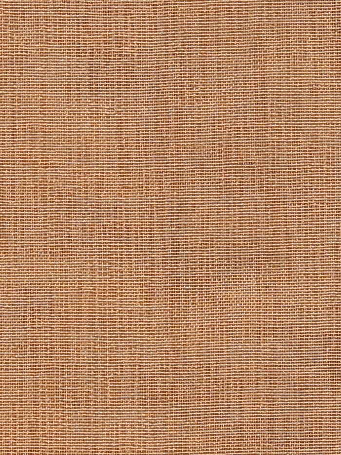 Visillo liso_5785.jpg