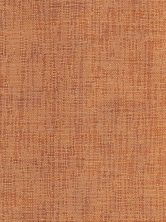 Visillo liso_5787.jpg