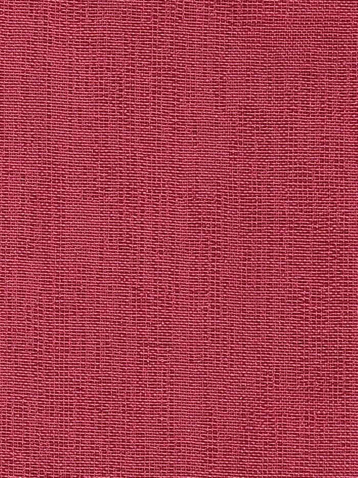 Visillo liso_5788.jpg