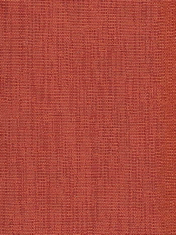 Visillo liso_5789.jpg