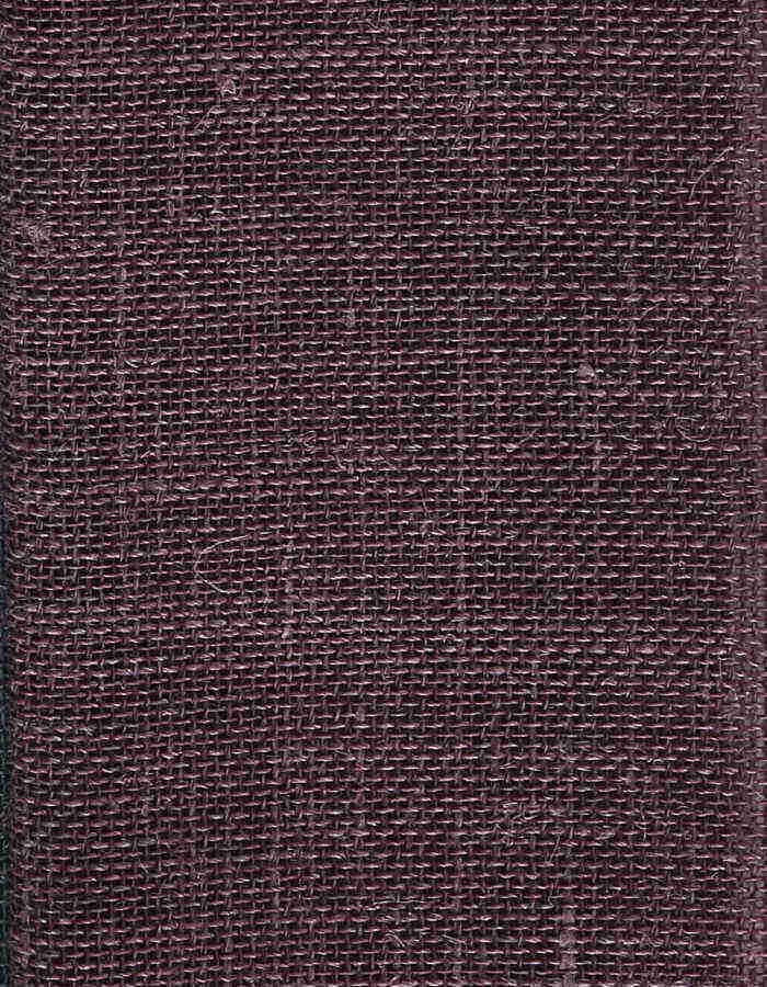 Visillo liso lino 300 cm_4523.jpg